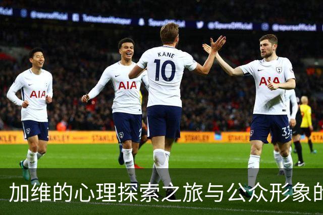 加维的心理探索之旅与公众形象的蜕变